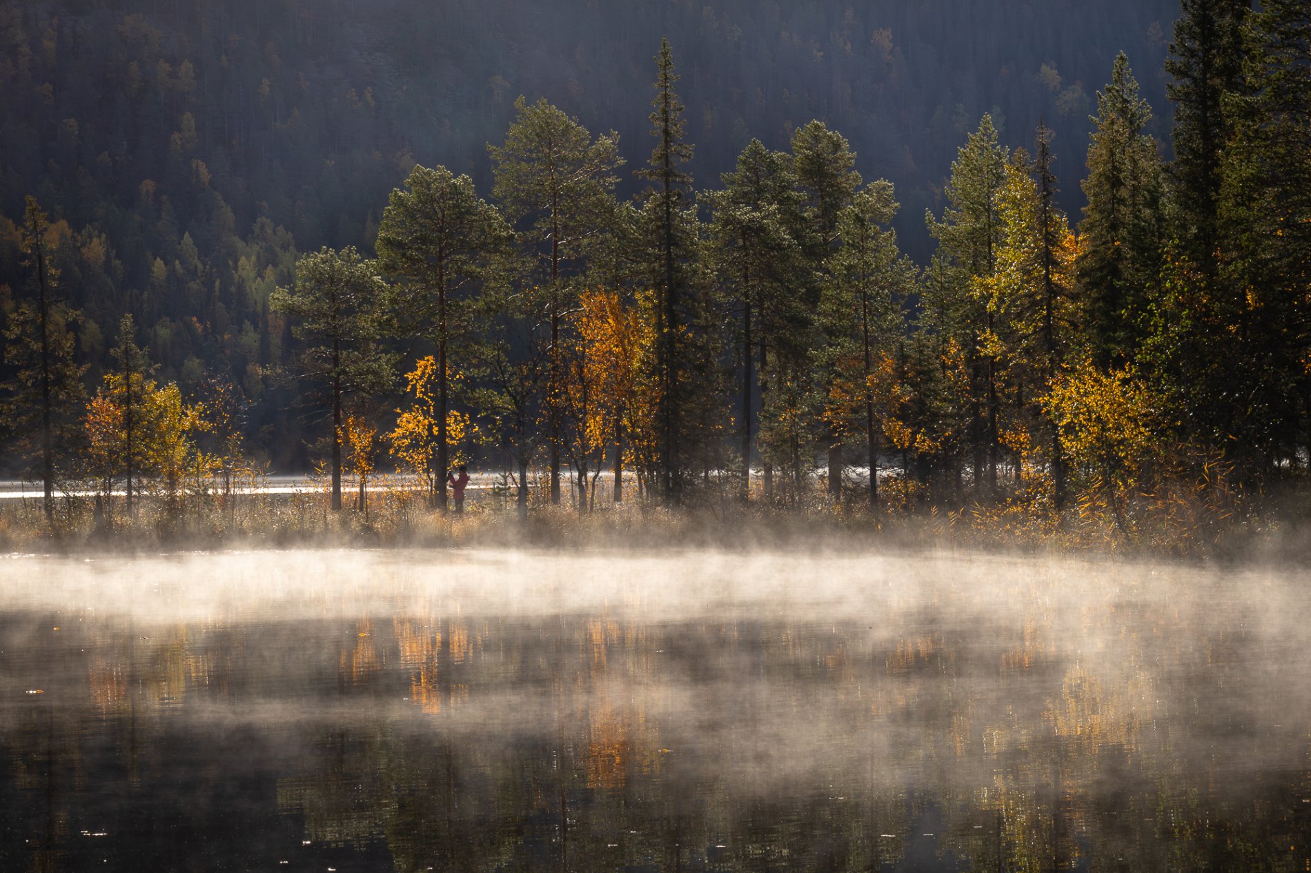 Ruskan värittämät puut ja usvainen järvenpinta. Konttaisjärvi, syysmaisema, maisemakuvaus, usvainen järvimaisema, ruska, sisustustaulu.