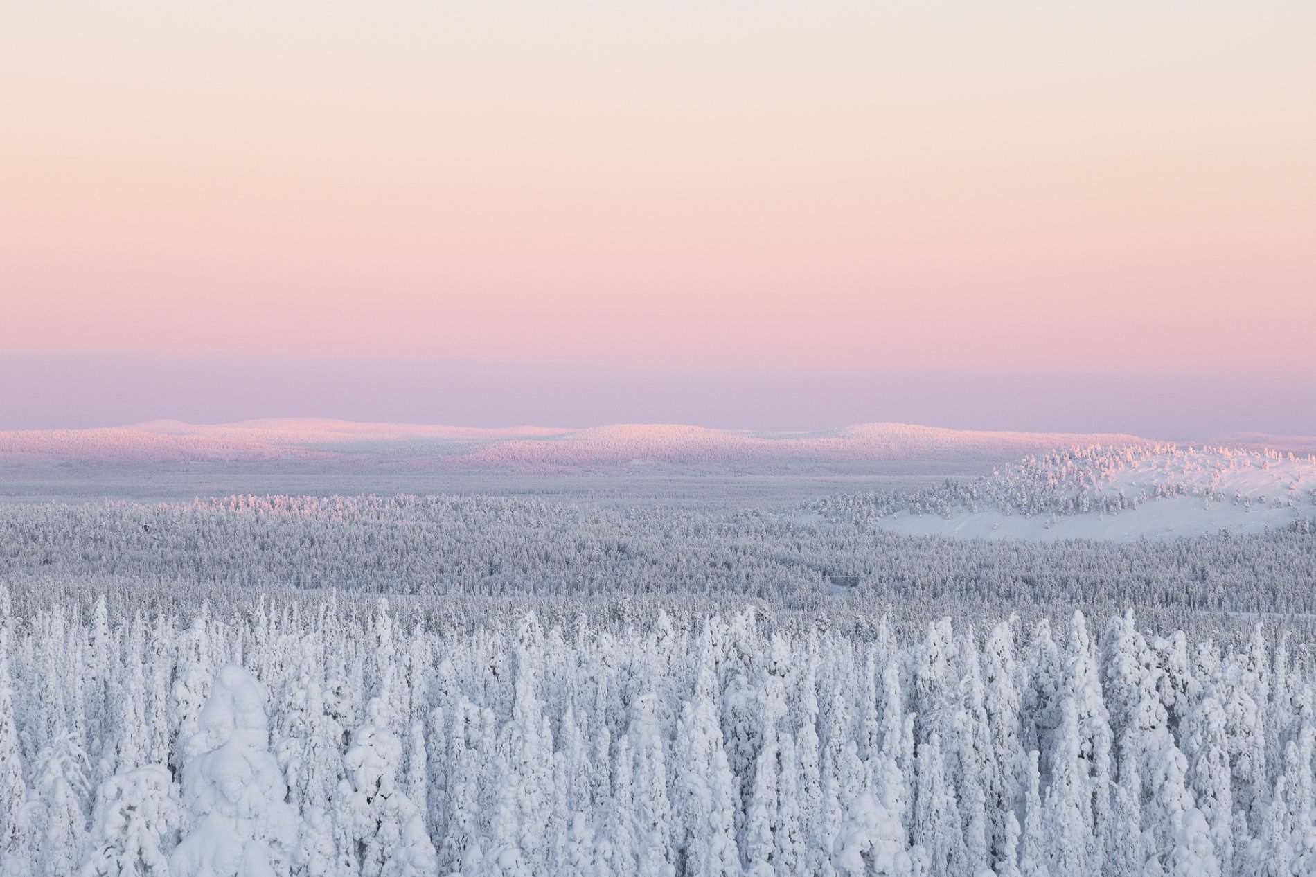 Talvinen tunturimaisema, upea pastellinsävyinen taivas ja tykkylumiset puut. Talvimaisema, maisemakuvaus, sisustustaulu, tunturimaisema.