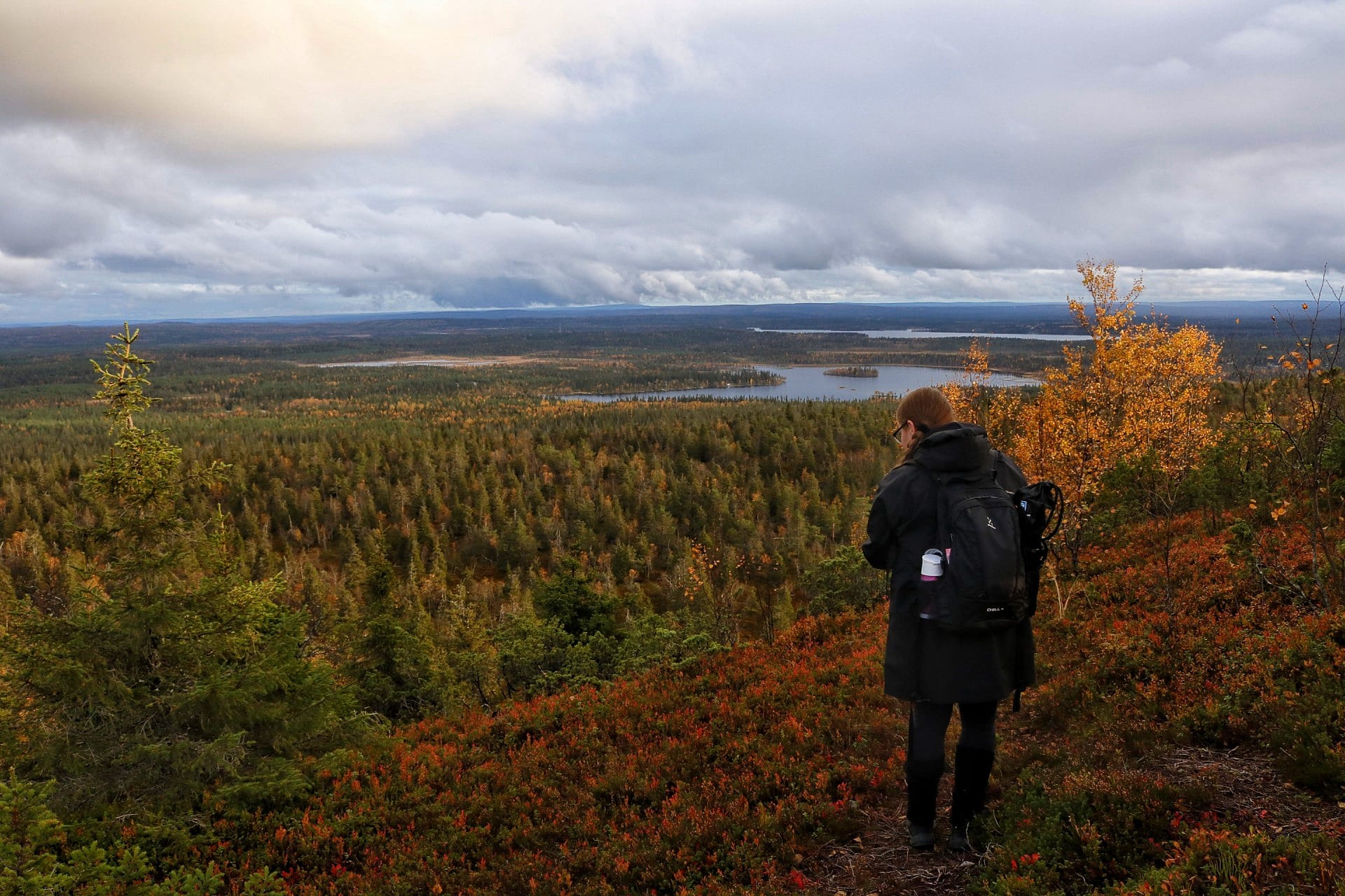 Konttainen ruska, maisema, valokuvaaja