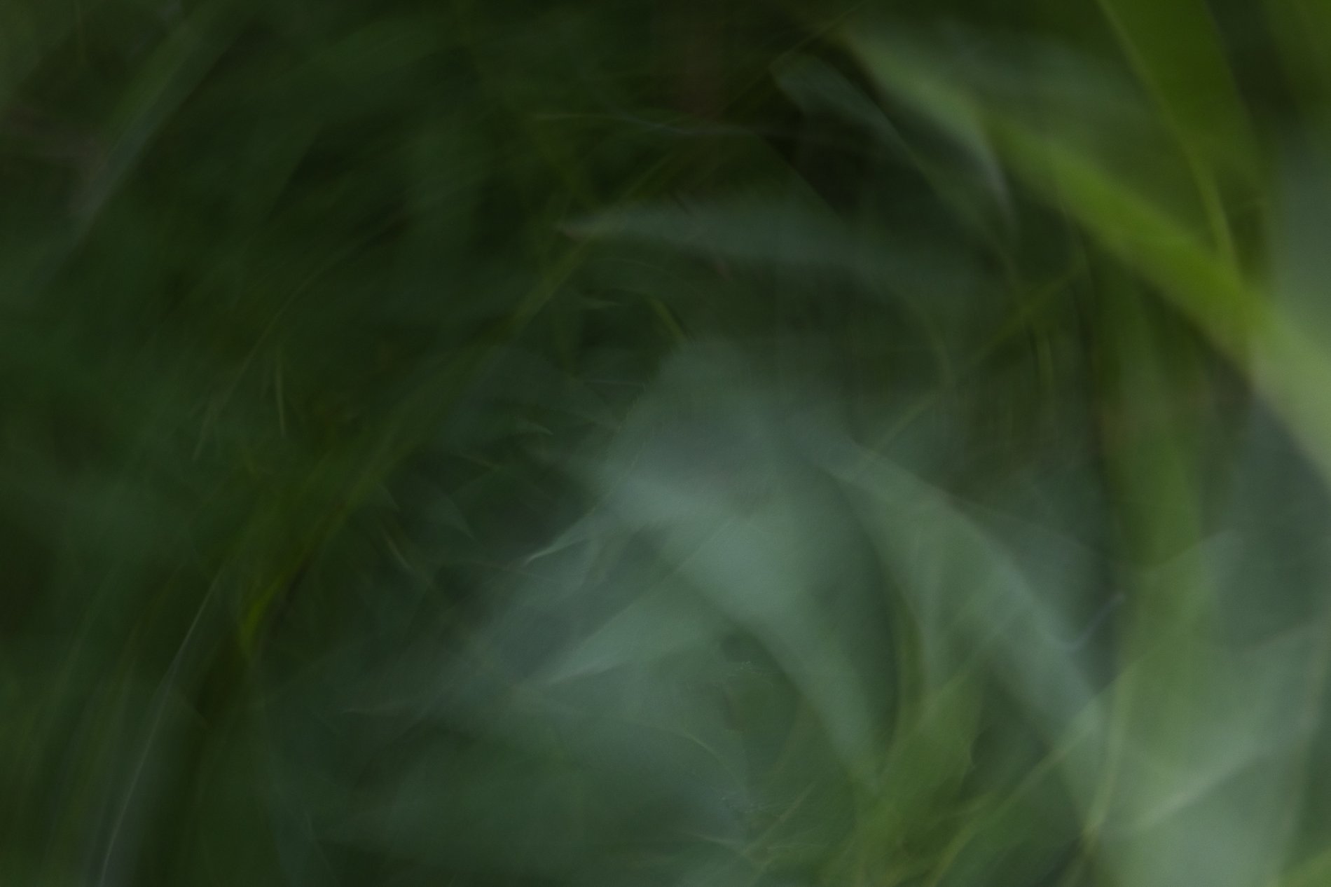 taidekuvaus icm 2115 S3A2115