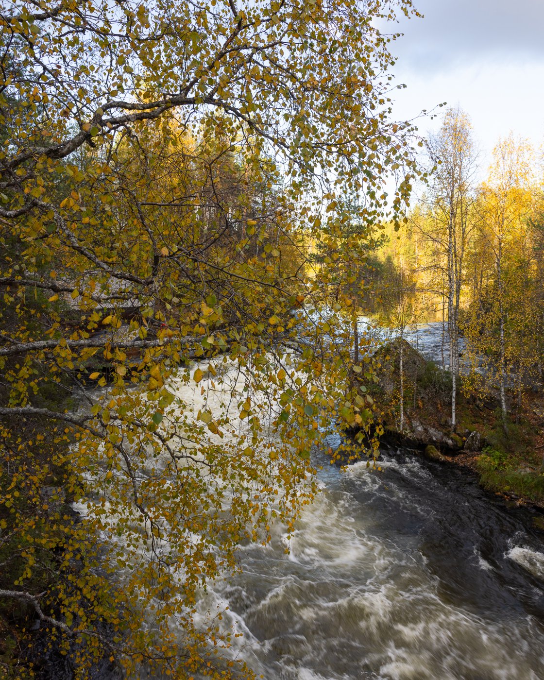 kuusamo myllykoski syysmaisema S3A9726